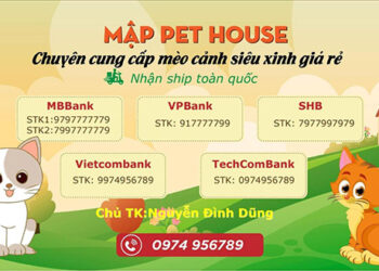 Mập Pet House: “Địa chỉ chăm sóc thú cưng uy tín, đáng tin cậy”